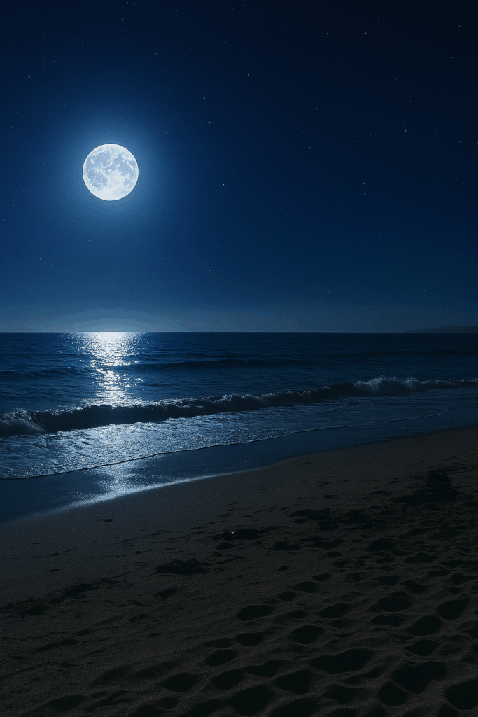 ー静寂な海岸ー